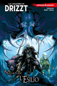 Dungeons & Dragons - La Leggenda di Drizzt 2 copertina